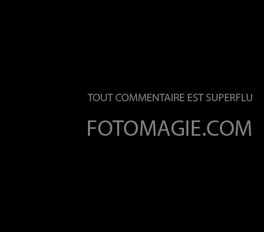 Tout commentaire est superflu